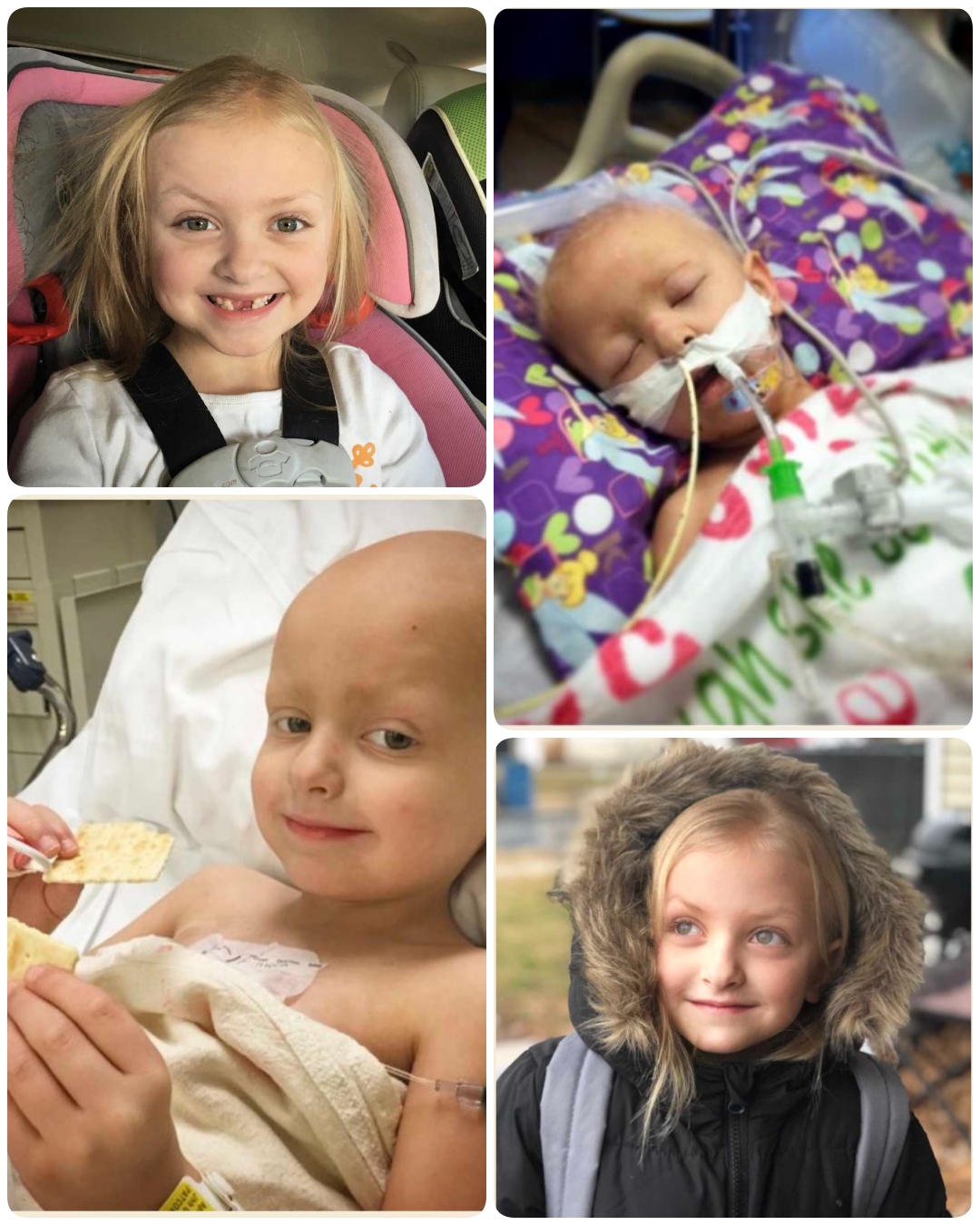 A Story of Resilience: Lila’s Journey Through Relentless Pain, Silent Struggle, and the Strength That Slowly Turned Suffering Into Beauty.T1397