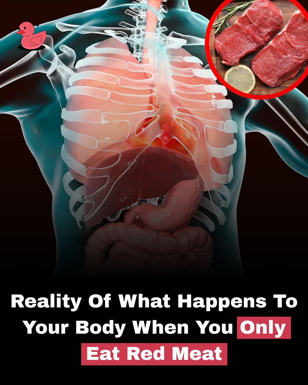 What Really Happens To Your Body If You Only Eat Red Meat