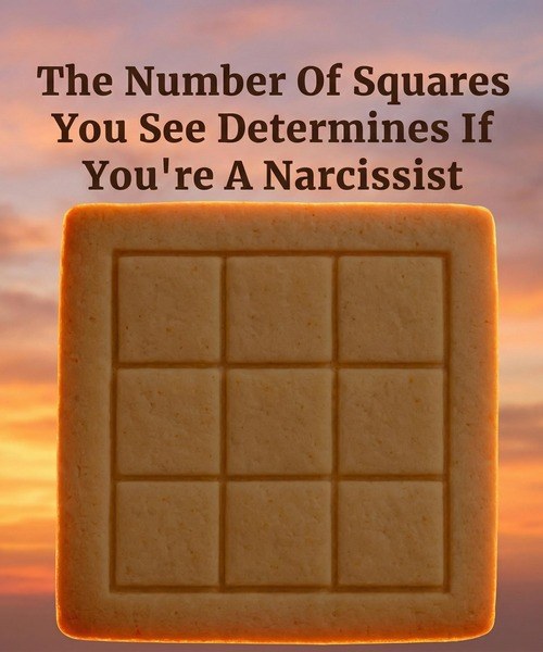 The Viral “How Many Squares” Puzzle