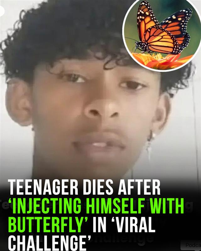 Boy, 14, dies after injecting himself with butterfly in viral online challenge