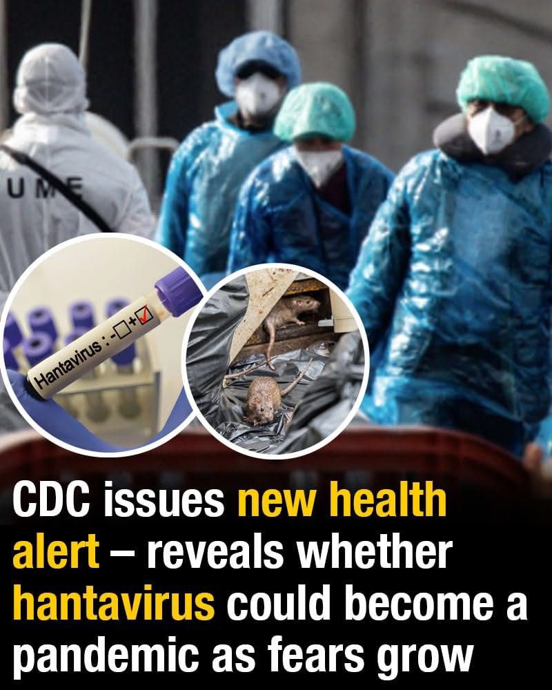 CDC issues new health alert – reveals whether hantavirus could become a pandemic as fears grow